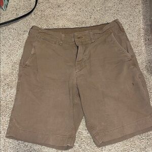 American Eagle Outfitters Men's Brown/khaki Shorts